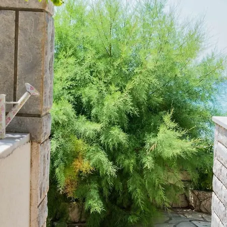 Apartman Prizemlje Appartement *
